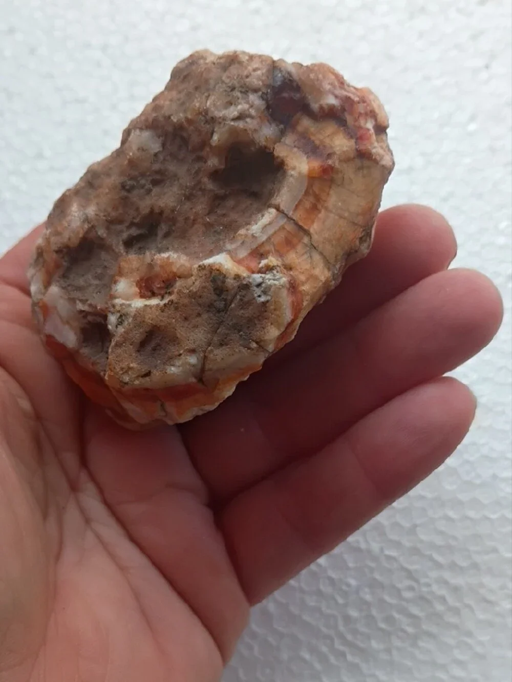 Natural Orange-Brown Reptile Hideaway Rock - Unbranded